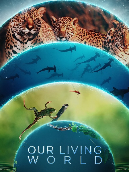 مشاهدة مسلسل Our Living World الحلقة 1 مترجمة