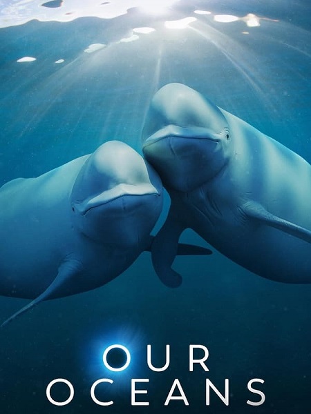 مشاهدة مسلسل Our Oceans الحلقة 1 مترجمة